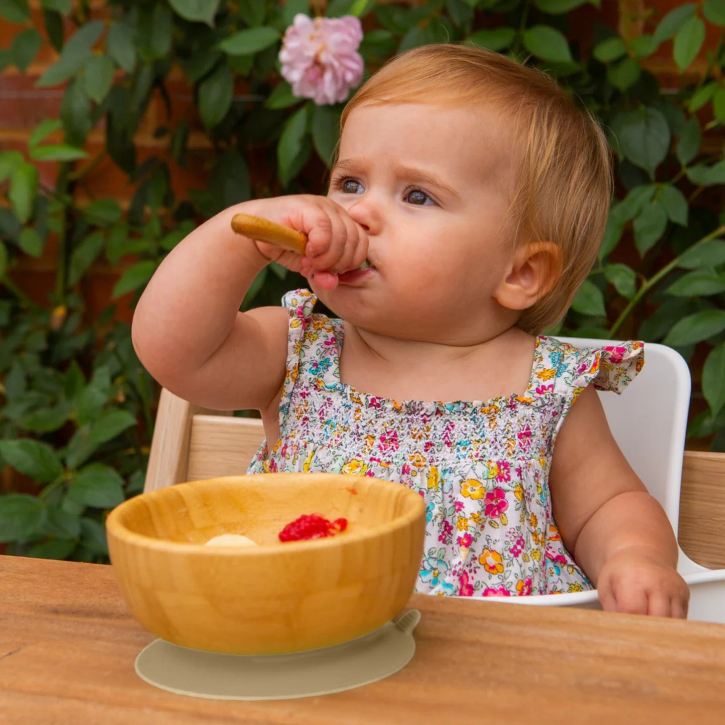 Baby Bowl